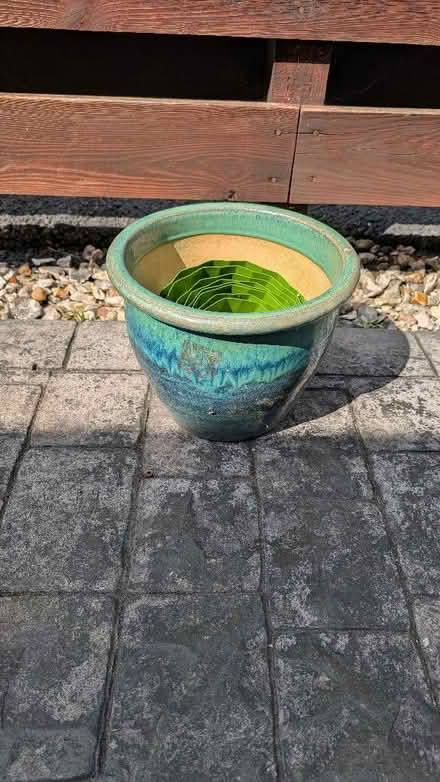 Photo of free Ceramic planter (Aldwick PO21) #1