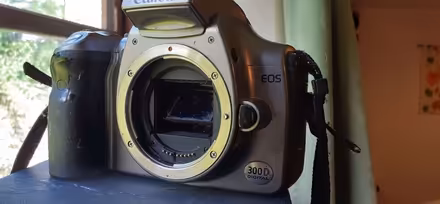 Photo of free Canon digital camera body (Bleddfa LD7) #2