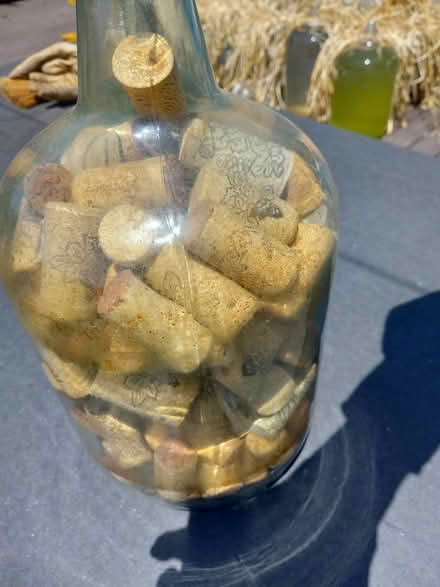 Photo of free Dry used wine corks (Myrtletown) #1