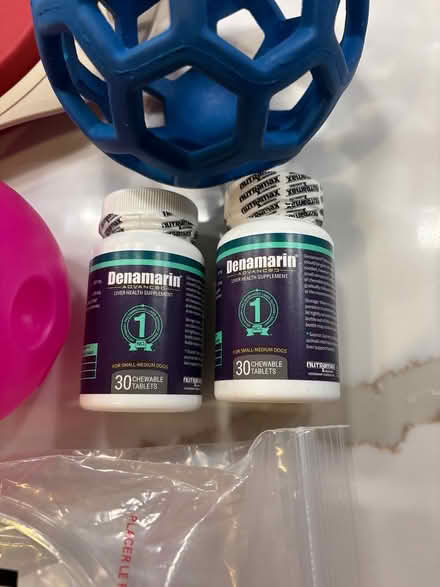 Photo of free Excellent Dog Stuff (Andersonville) #2