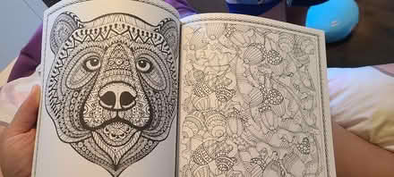 Photo of free Colouring book (Mavis and burnhamthorpe) #2