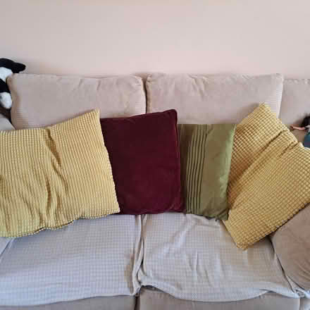 Photo of free 4 sofa cushions (CM1 springfield) #1