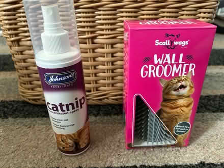 Photo of free Cat items (Jennetts park RG12) #1