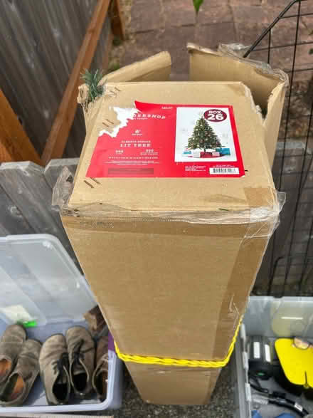 Photo of free Xmas tree (Arcata) #1