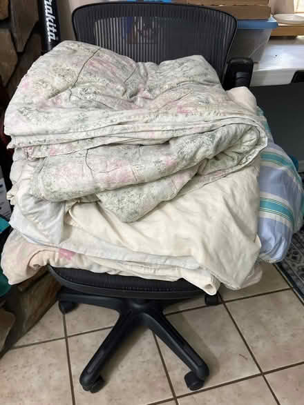 Photo of free Comforters (Near Bada Bean) #1
