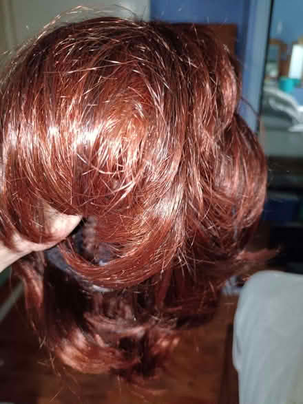 Photo of free unworn wig (The Rock TF3) #1