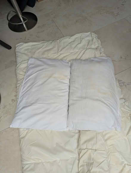 Photo of free Old duvet, pillows & cushions (M20 West Didsbury) #2