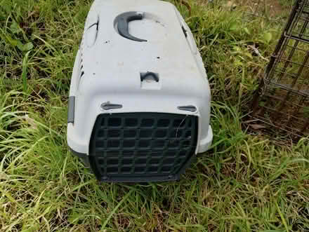 Photo of free Cat carrier (Bere Alston) #1