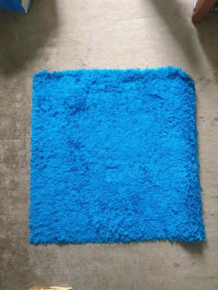 Photo of free Blue ikea rug (Milton PO4) #1