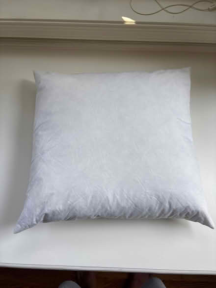 Photo of free Feather pillow (Logan Circle) #1