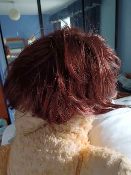 Photo of free unworn wig (The Rock TF3) #3