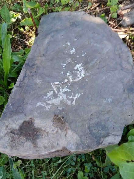 Photo of free Flag Stones (North Adams) #2