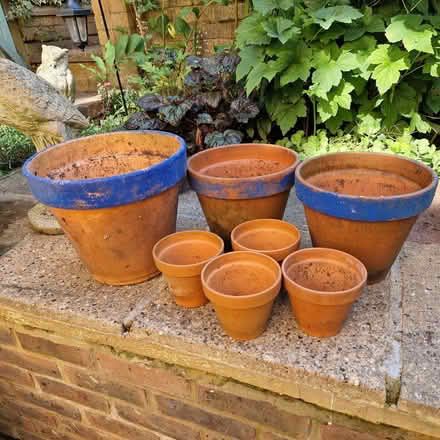 Photo of free Terracotta plant pots (Clive Vale TN35) #1