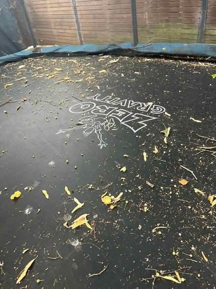 Photo of free Large trampoline (Summertown OX2) #2