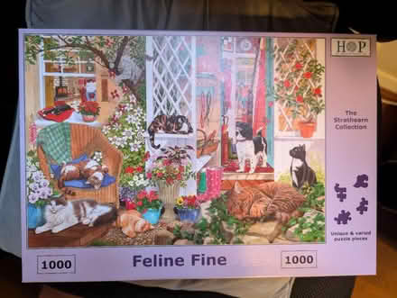Photo of free 1000 piece jigsaw puzzle (Highbury Grove N5) #1