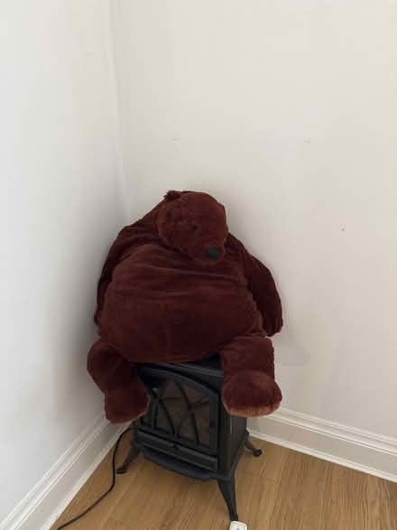 Photo of free Ikea Bear (Golders Green NW11) #1