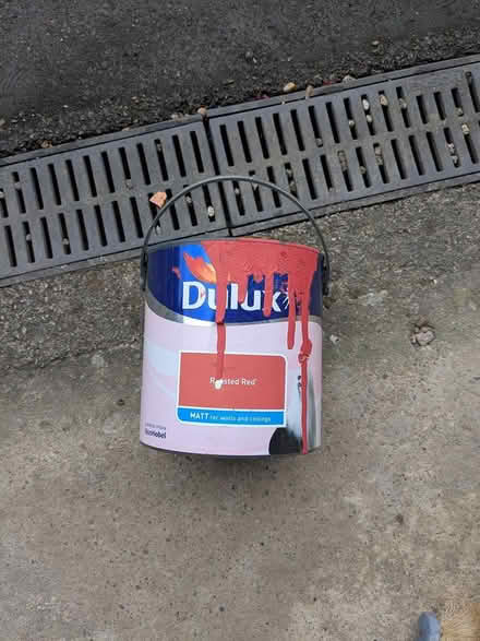 Photo of free Matt wall paint (Wirksworth south DE4) #1