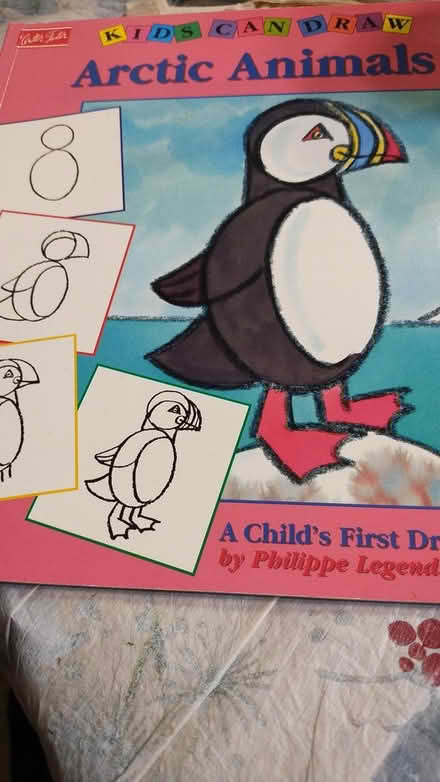 Photo of free Artic Animal drawing book (Allen) #1