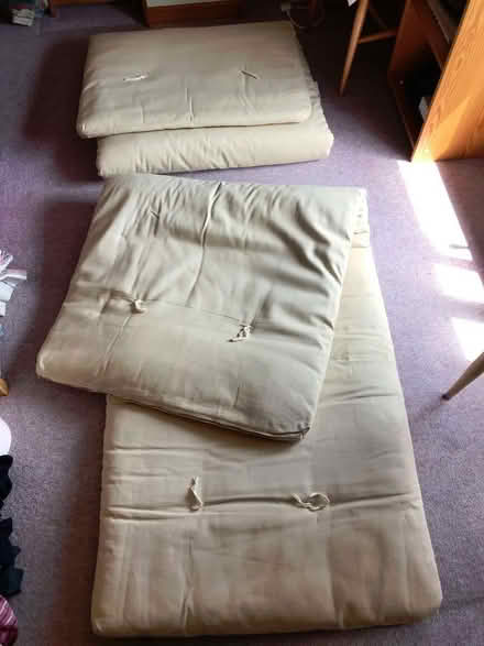Photo of free Futon mattresses (Llanwrthwl LD1) #1