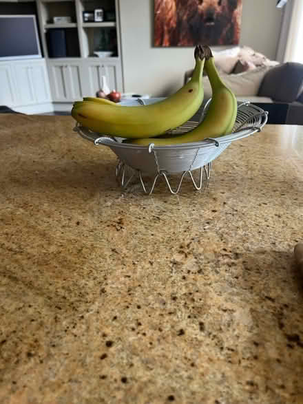 Photo of free Wire bowl (Old ottawa south) #1
