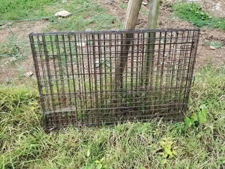 Photo of free Extra large dog cage (Bere Alston) #1