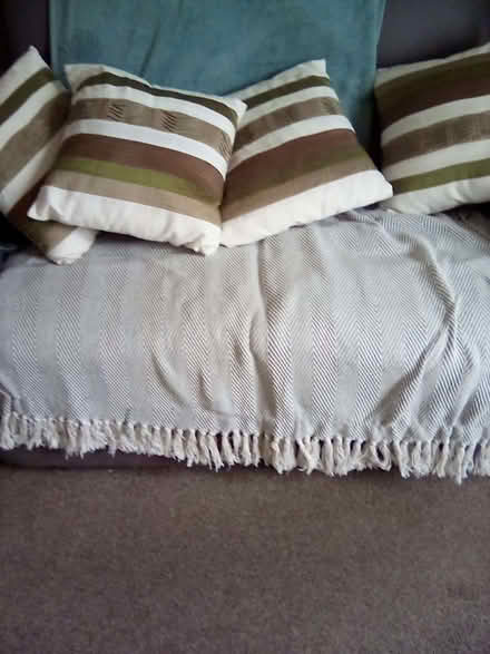 Photo of free 4 cushions. (Cheddon Fitzpaine TA2) #1