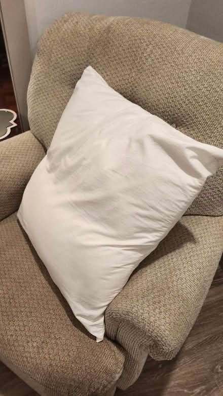 Photo of free Large back pillow and knee pillow (Somerset) #1