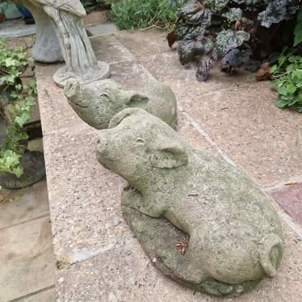 Photo of free Pair concrete garden pigs (Clive Vale TN35) #3