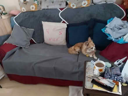 Photo of free 3 seater settee (Holdingham NG34) #3