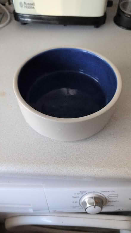 Photo of free Ceramic large dog bowl (Aldwick PO21) #1