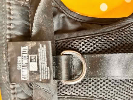 Photo of free Lg Canada pooch dog harness (Seaside BN22) #3