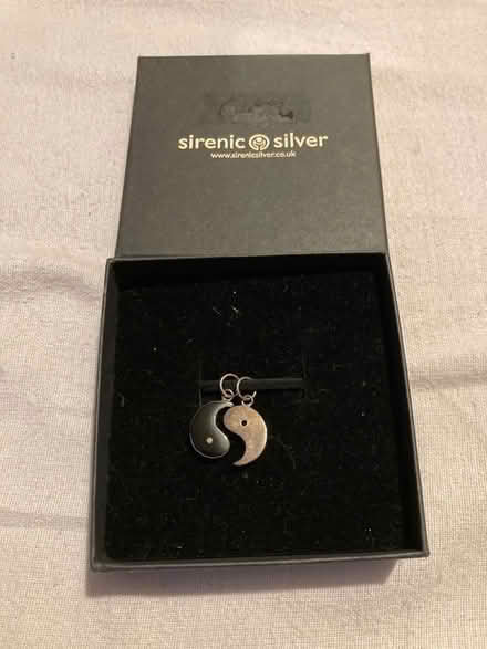 Photo of free Yin and Yang necklace silver (Bournville Station) #1