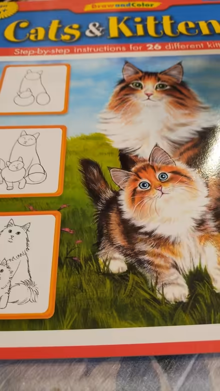 Photo of free Cats a d Kittens Draw & Color book (Allen) #1