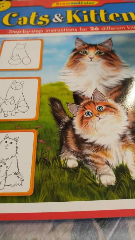 Photo of free Cats a d Kittens Draw & Color book (Allen) #1