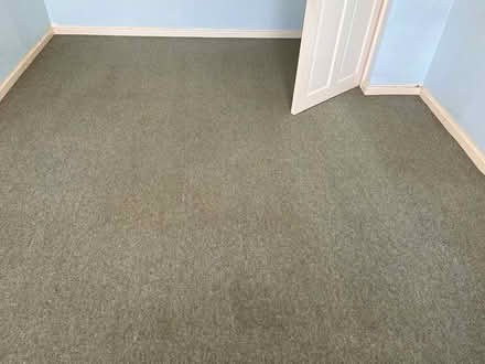 Photo of free Greenish Carpet (Long eaton NG10) #1