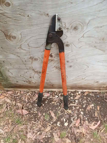 Photo of free Sandvic Loppers 2 foot (Booker HP12) #1