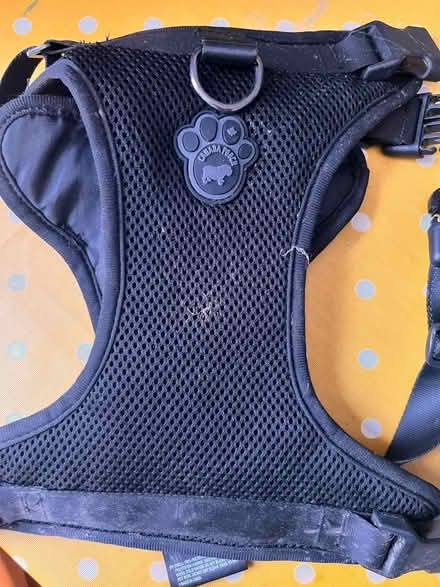 Photo of free Lg Canada pooch dog harness (Seaside BN22) #1