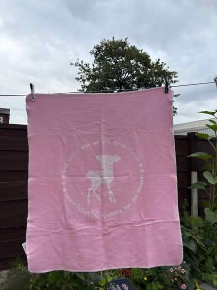 Photo of free 2 Pink baby blankets (Stockport centre SK1) #2