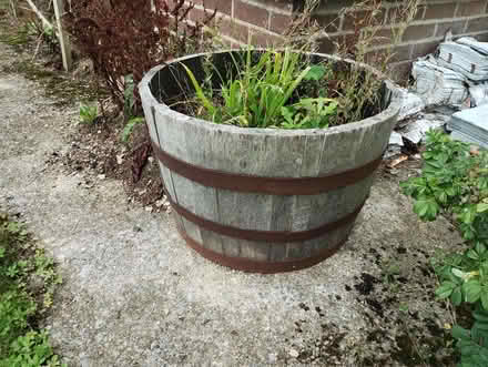 Photo of free Half Barrel Oak Planter (Bere Alston) #1