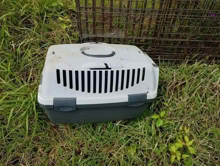 Photo of free Cat carrier (Bere Alston) #2