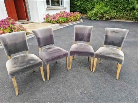 Photo of free Dining chairs (x4) (Kilquade) #1