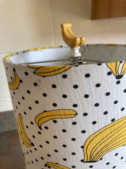Photo of free Monkey Lamp (Scaggsville) #3