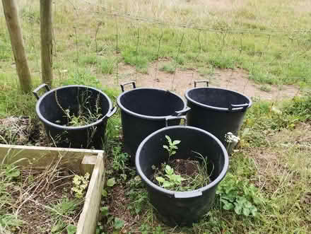 Photo of free Large plastic trug pots/planters (Bere Alston) #1