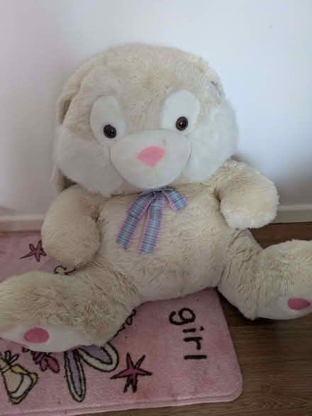 Photo of free Rabbit (Malvern WR14) #1