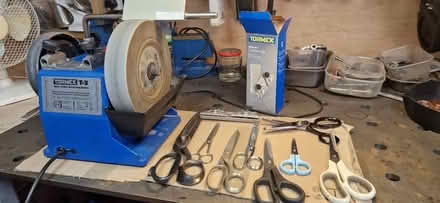 Photo of Old scissors and shears (SO32 Swanmore) #1
