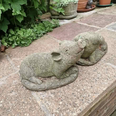 Photo of free Pair concrete garden pigs (Clive Vale TN35) #1