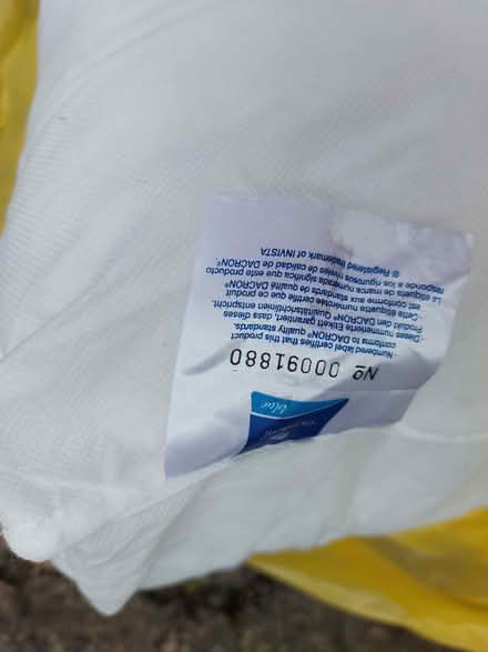 Photo of free Two Seat Pads (Holgate YO24) #1