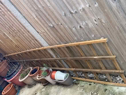 Photo of free Trellis (Cheshunt EN7) #2