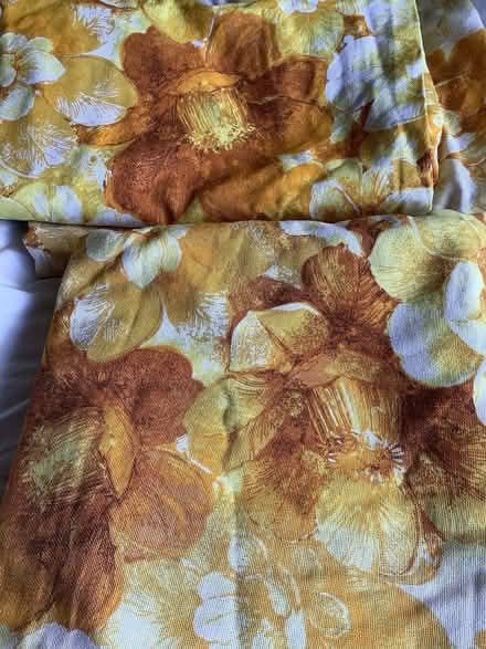 Photo of free Yellow curtains (pair) (Nast Hyde Farm AL10) #1