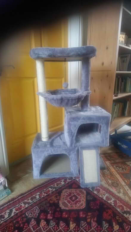Photo of free Cat tower (Tyberton, Madley, HR2) #2